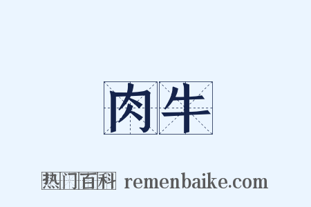 肉牛是什么意思的图片